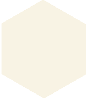 Метлахская плитка шестигранник Zahna 100/115x11 мм №16 белый