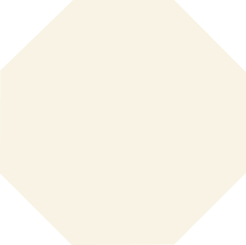 Метлахская плитка восьмигранник Zahna 300x300x11 мм №16 белый