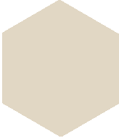 Кислотоупорная плитка шестигранник Zahna 100/115x11 мм №05 светло-серый Eben R9